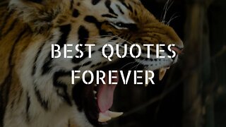 BEST QUOTES FOREVER / MOTIVATIONAL QUOTES / QUOTES