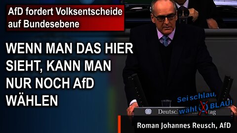AfD fordert Volksentscheide auf Bundesebene, Roman Johannes Reusch, AfD
