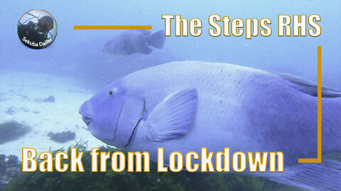 Back from Lockdown | Scuba Diving at The Steps | Oct 2021