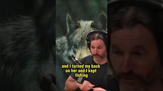 Close Encounter with a Wild Wolf While Fishing - Donnie Vincent on Joe Rogan Experience