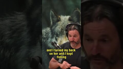 Close Encounter with a Wild Wolf While Fishing - Donnie Vincent on Joe Rogan Experience