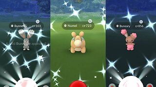 Shiny Hunting and Mega Lopunny raid