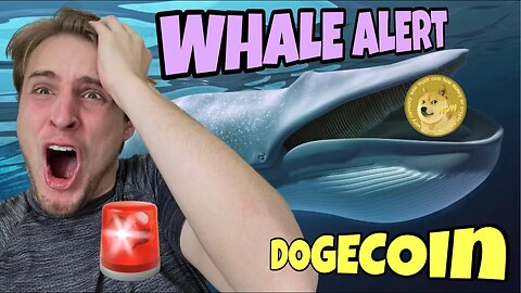 Dogecoin WHALES PANICKING AS Bitcoin FLOOR COLLAPSES ⚠️