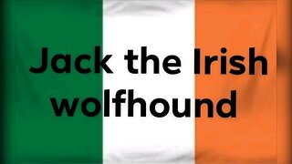 📹 .Tony Hawk skateboard video. 📹 and Jack the Irish wolfhound