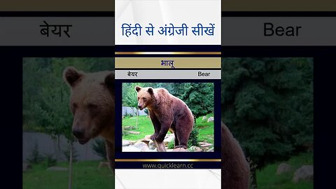 Learn English from Hindi - Animals हिन्दी से अंग्रेजी सीखें #learnenglish #hindi #animals #shorts