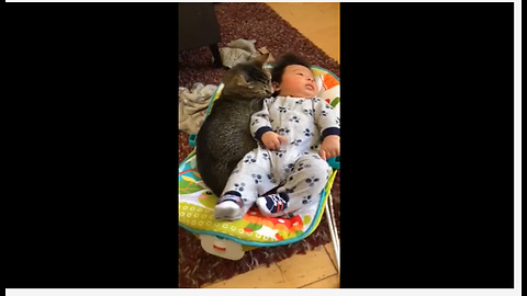 Sweet Kitty Preciously Cuddles With Baby Boy