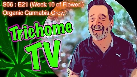 S06 E21 (Day #141) || Day 64 of Flower || How to Grow Cannabis for Beginners || Checking Trichomes