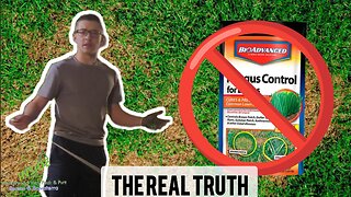The Truth behind Fungus + Chemicals
