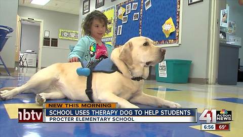 Therapy dog calms kids at Independence elementary school