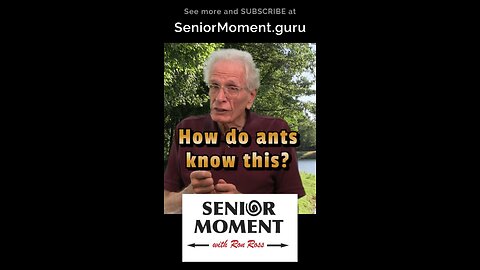 How does the ant know this?