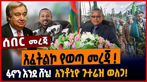 አፈትልኮ የወጣ መረጃ ❗️ፋኖን እንደ ሸኔ❗️አንቶኒዮ ጉተሬዝ ወለጋ❗️