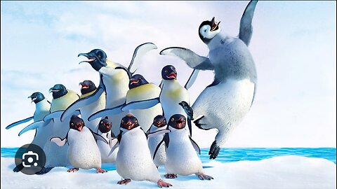 "Penguin Party: Happy Bird's Joyful Boogie!"