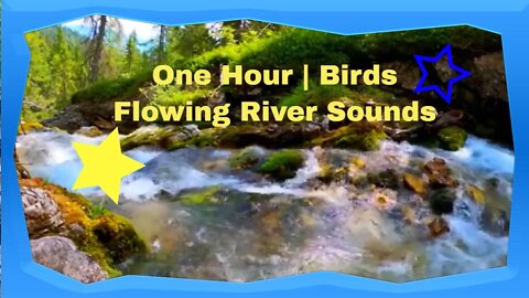 One Hour | Gentle River Flowing and Birds Singing