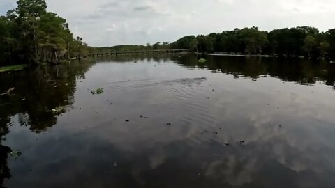 Catching Bass In The Fall On A Louisiana Lake.-1