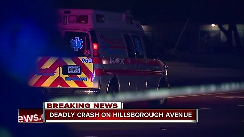 Pedestrian hit and killed by vehicle in Hillsborough County