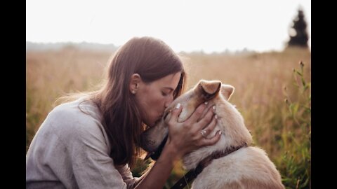 Cute Dogs getting a hug by their owners ❤️️❤️️sweet and lovely