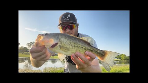 TOPWATER BLOWUPS From My Favorite Bass Pond