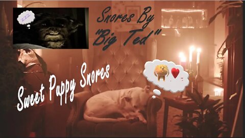 Sweet Puppy Snores | Sleep Sounds | Deep Sleep | Relax | Meditate | ASMR | Dream | Focus | Relax