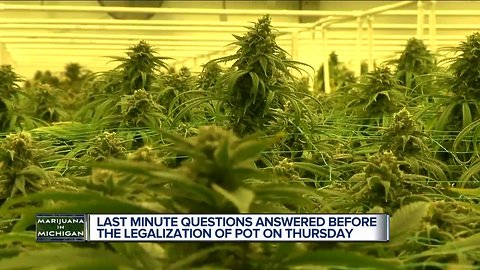 Legalization of marijuana in Michigan just days away. What you need to know