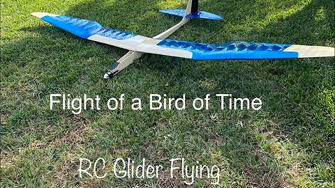 Smooth Sailing with the RC Bird of Time, w/ Crash of other plane. #rcplanes #rcglider