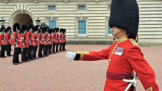 Close up Buckingham Palace changing of the Guards #horseguardsparade