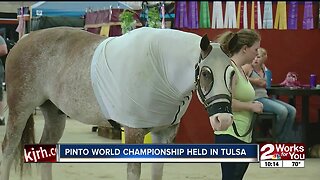 Pinto World Championship held in Tulsa