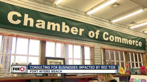 Consulting for businesses impacted by red tide