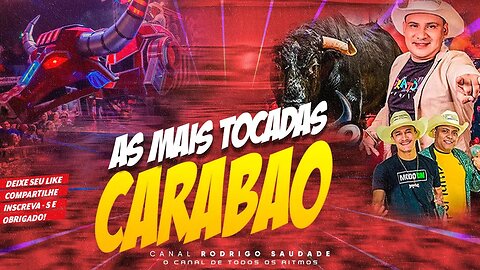 CARABAO AO VIVO NO AÇAÍ BIRUTA DJ SILVINHO