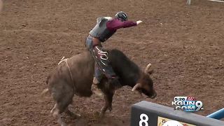 Tucson Rodeo is opening on Saturday, but the animals have arrived