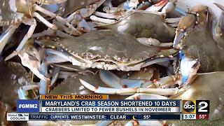 Decline in blue crab population leads to shorter crab season