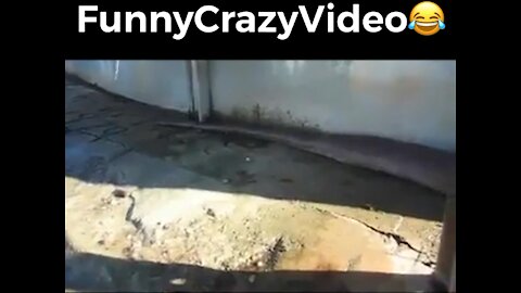 Mr FunnyCrazyVideo😂 Just Incredible Video Funny and Crazy #Like Follow for Follow 🥰