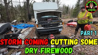 03-20-24 | Storm Coming, Cutting Some DRY Firewood | Pt.1