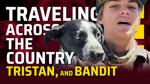 Tristan, and Bandit, Traveling Across The Country