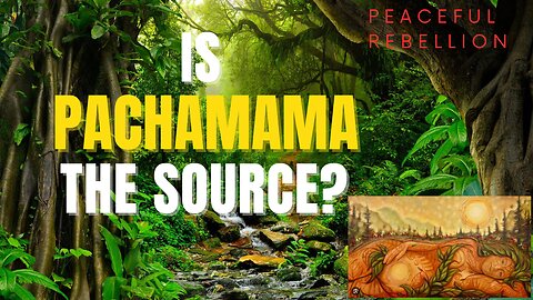 IS PACHAMAMA THE SOURCE? Peaceful Rebellion #awake #aware #spirituality #channeling #5d #ayahuasca