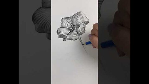 Amazing Pencil Drawing 3D Art | Satisfying Drawing Videos #19