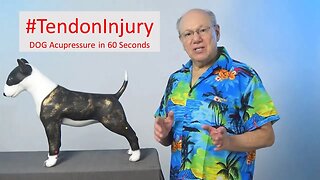 Furry Rehab: Unlocking the Power of Acupressure for Dog Tendon Injuries