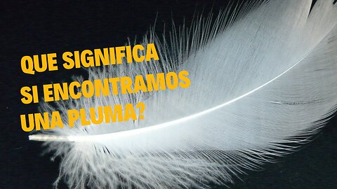 Pluma, que significa si encontramos una?