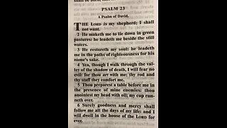 Psalm 23