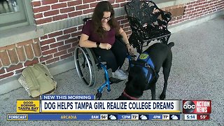Nerf the dog helps University of Tampa student achieve her college dreams