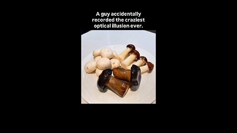 A guy accidentally recorded the craziest optical illusion ever