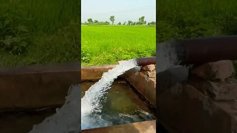 Tube well at village #trending #shortsvideo #viral #shortsfeed #youtubeshorts #village #youtube