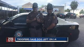 Dog rescued by FHP troopers on I-4 is reunited with owner
