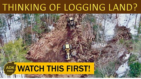 LOGGING our LAND - Was it worth it?