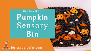 How to Make a Pumpkin Sensory Bin