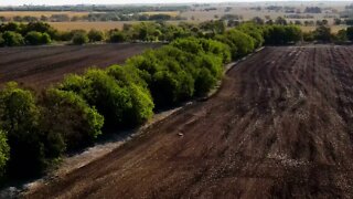 Site Footage - Deer in shot - 10 sec-4K