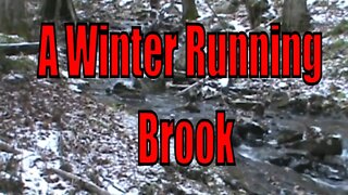 A Winter Running Brook