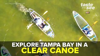Explore Tampa Bay in a clear canoe | Taste and See Tampa Bay
