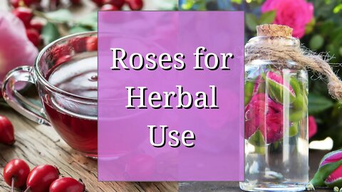 Roses for Herbal Use