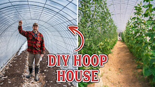 Make Your Own Inexpensive Hoop House (DIY Greenhouse)