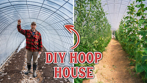 Make Your Own Inexpensive Hoop House (DIY Greenhouse)